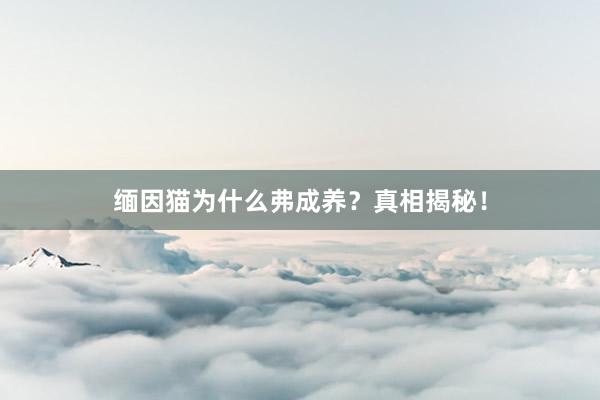 缅因猫为什么弗成养？真相揭秘！