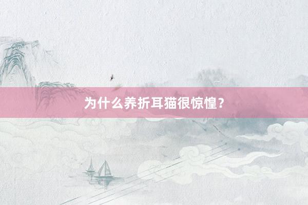 为什么养折耳猫很惊惶？