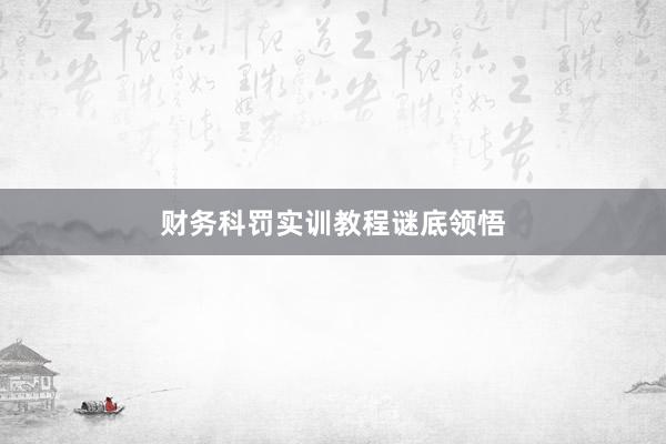 财务科罚实训教程谜底领悟